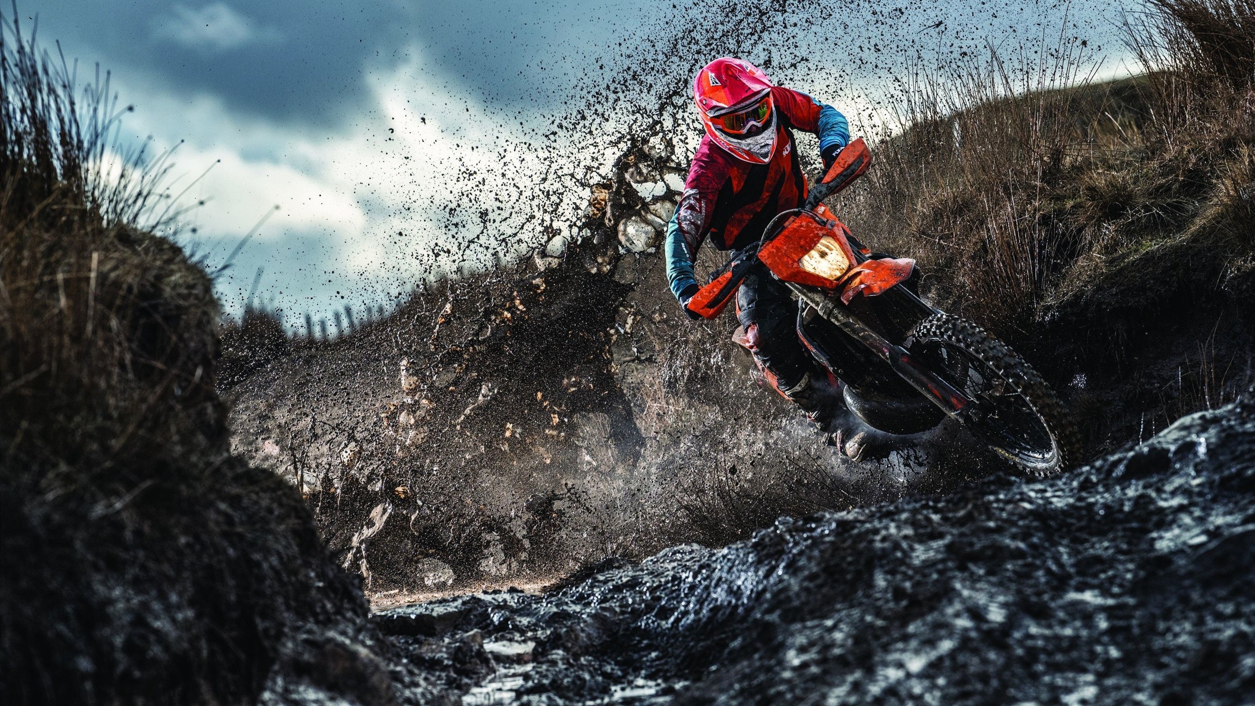 综合格斗赛场焦点！德国队对阵比利时队，爆冷逆转，黑马强势击败劲敌